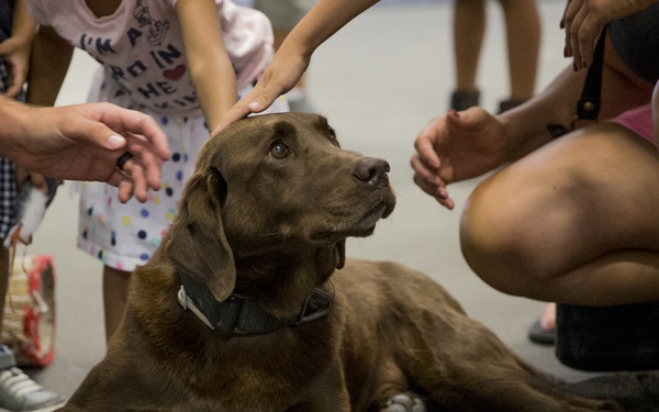 LA Fleet Week 2018: San Pedro Static Displays