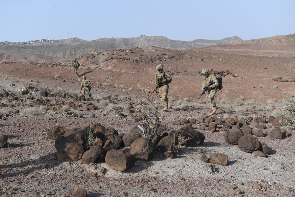 10th Mountain Division holds situational training exercise