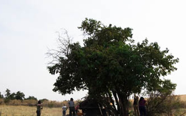 SOWING SEEDS THROUGH SERVICE