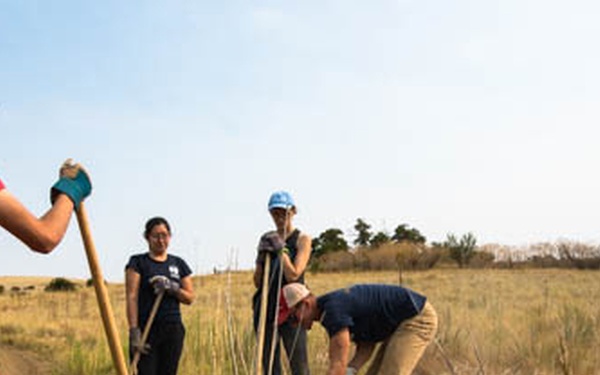 SOWING SEEDS THROUGH SERVICE