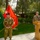 Resolute Support Mission welcomes new commander