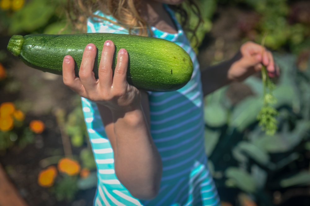 Growing in community while growing produce