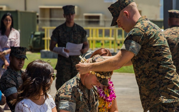 Combat Assault Company change of command