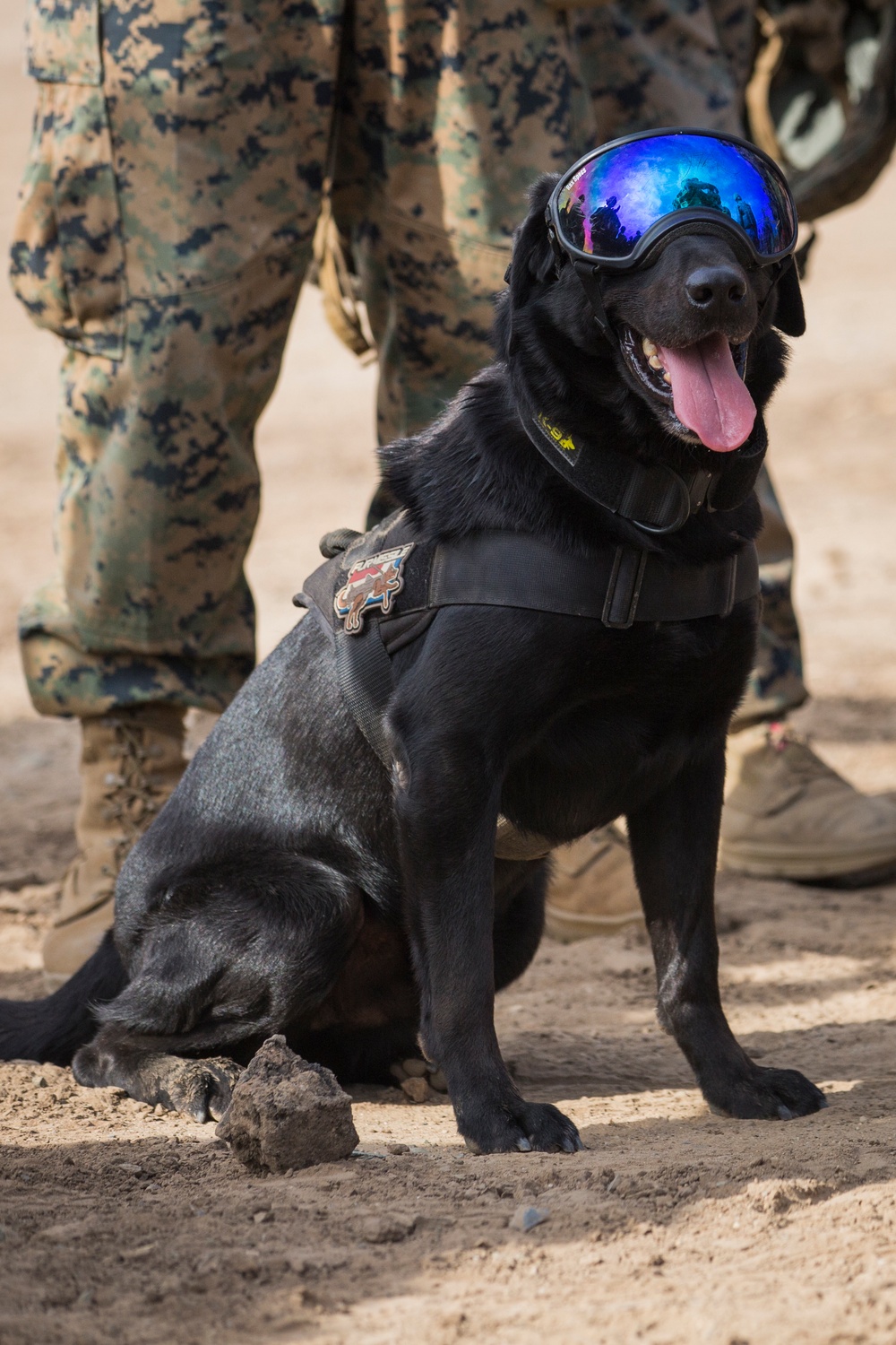 Bravo Company, 1/4 Mechanized Raid