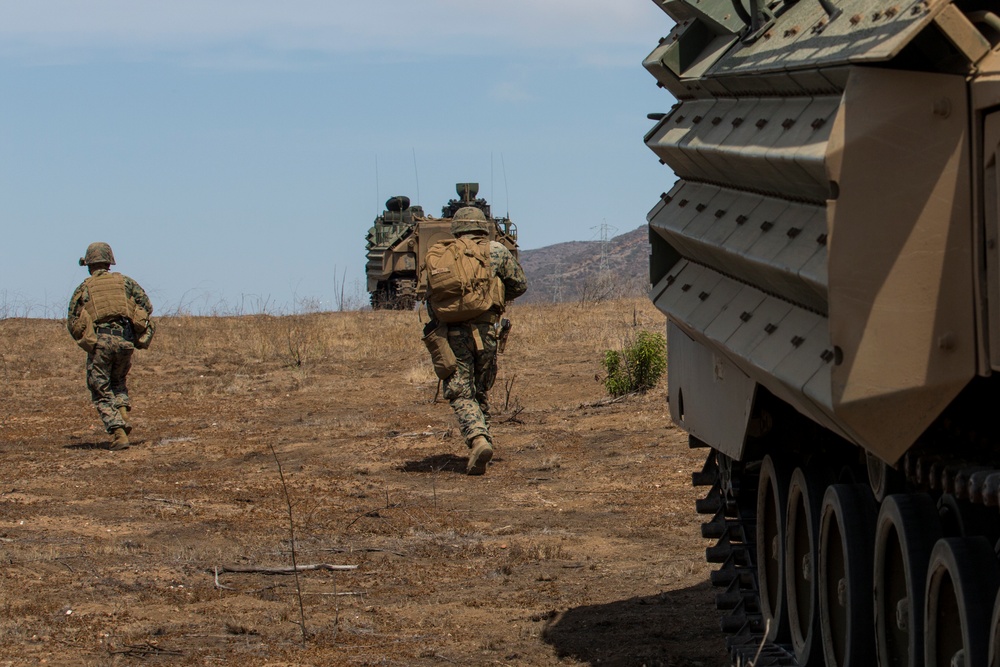 Bravo Company, 1/4 Mechanized Raid
