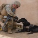 Bravo Company, 1/4 Mechanized Raid