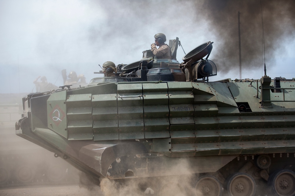 Bravo Company, 1/4 Mechanized Raid