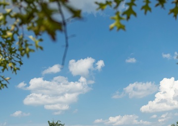 Millennium Dedication Ceremony