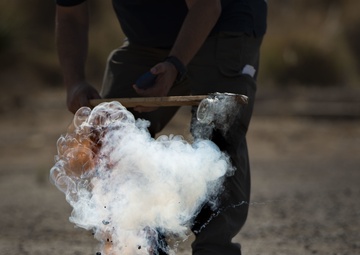 Guardian Shield 2018