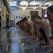 Marines Make a Splash at Queens University