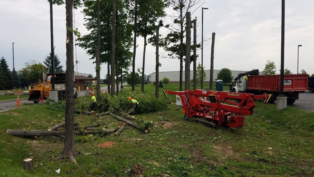 Tree removal operations mark the construction kick-off of new BFDF building