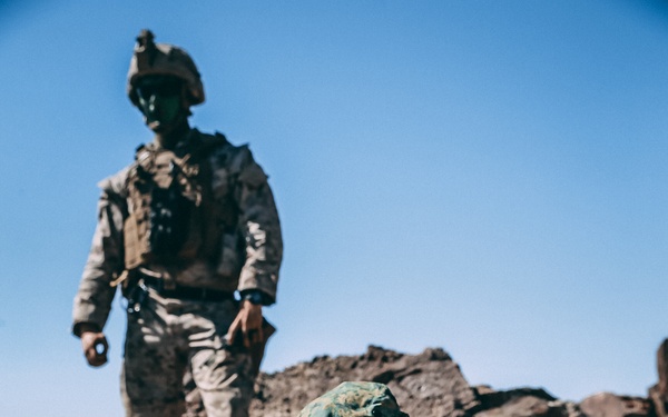 Peek-a-boo, I see you!