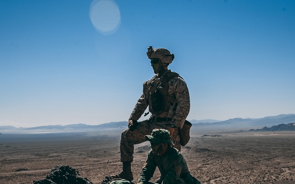 Peek-a-boo, I see you!