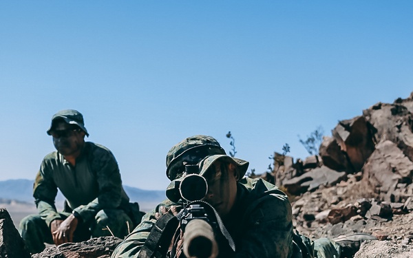 Peek-a-boo, I see you!