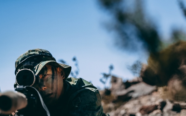 Peek-a-boo, I see you!