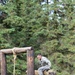 Alaska Guardsmen compete for coveted title