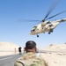 U.S. and Egyptian Forces Rehearse MEDEVAC Procedures