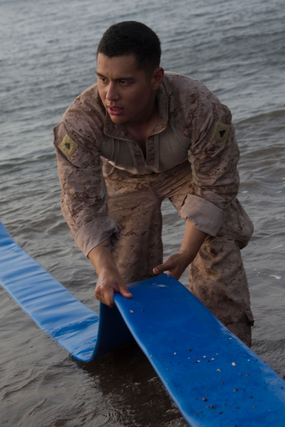 Theater Amphibious Combat Rehearsal