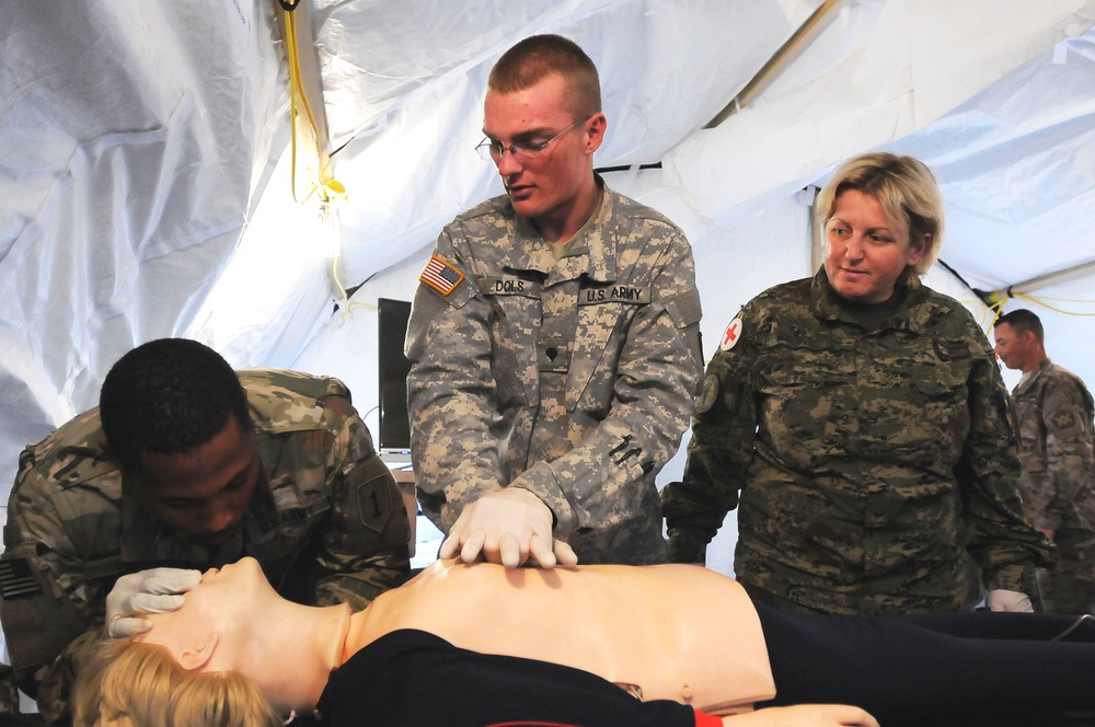 Medical professionals from U.S. and Croatia train together during Exercise Saber Strike 17