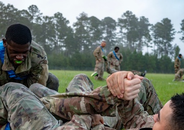 Gain The Dominant Position