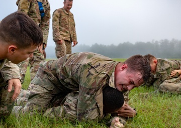 Gain The Dominant Position