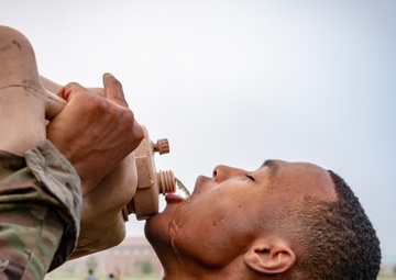 Gain The Dominant Position