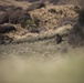 New Zealand soldiers hike through Waiouru Military Camp