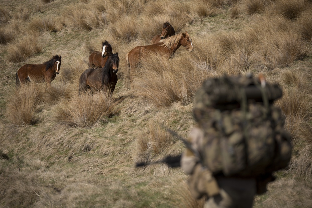 New Zealand soldiers hike through Waiouru Military Camp