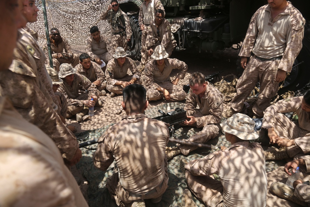 Theater Amphibious Combat Rehearsal