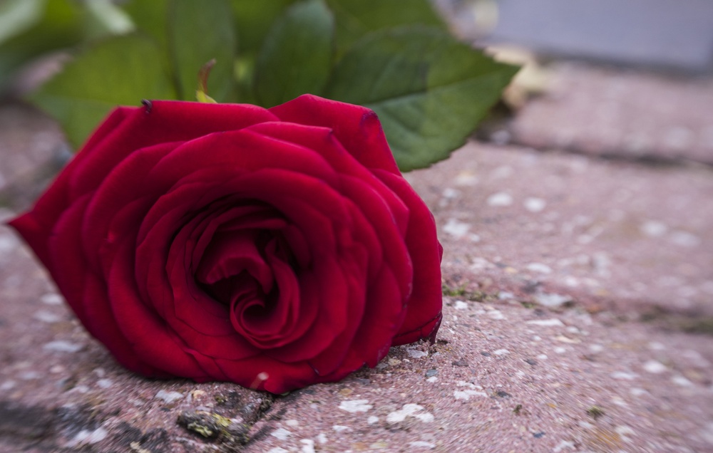 National Day of Service and Remembrance