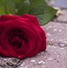 National Day of Service and Remembrance