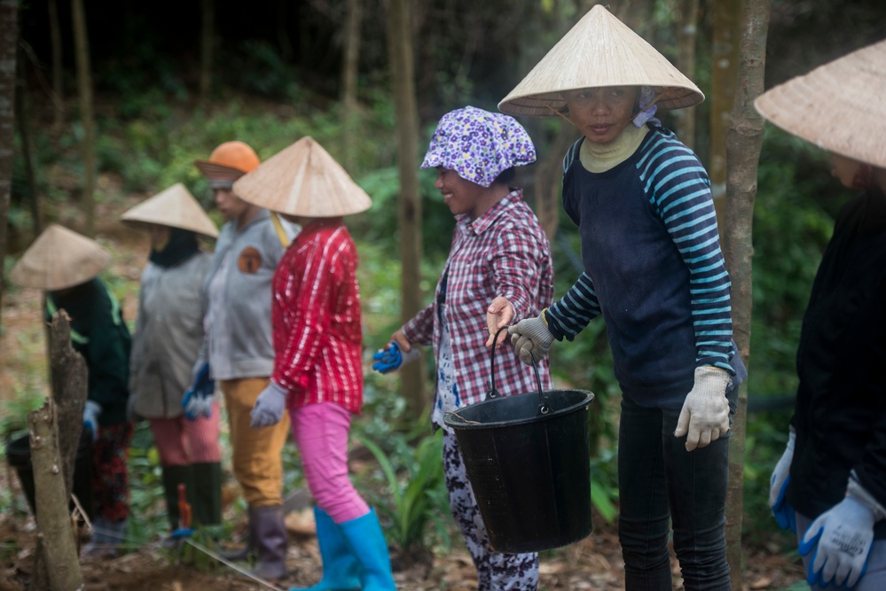 DPAA recovery mission in Vietnam