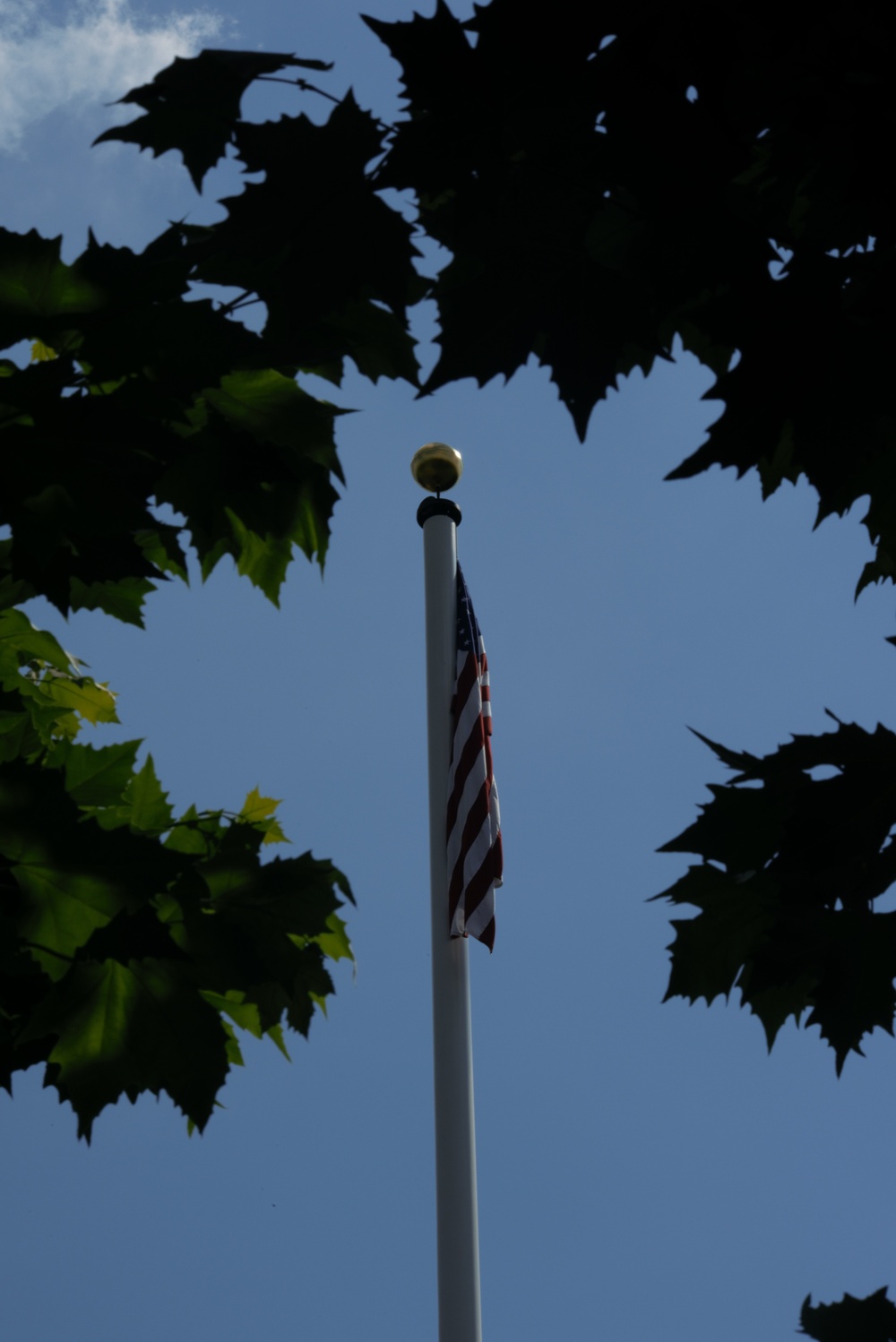 Vermont National Guard Honors WWI