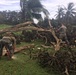Marines and Navy Seabees clear debris on Tinian