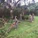 Marines and Navy Seabees clear debris on Tinian