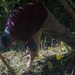 DPAA recovery operations in Quang Tri, Vietnam