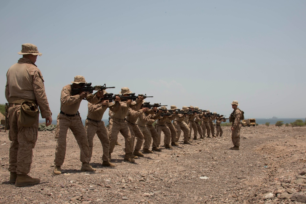 Theater Amphibious Combat Rehearsal
