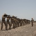 Theater Amphibious Combat Rehearsal