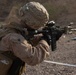 Theater Amphibious Combat Rehearsal
