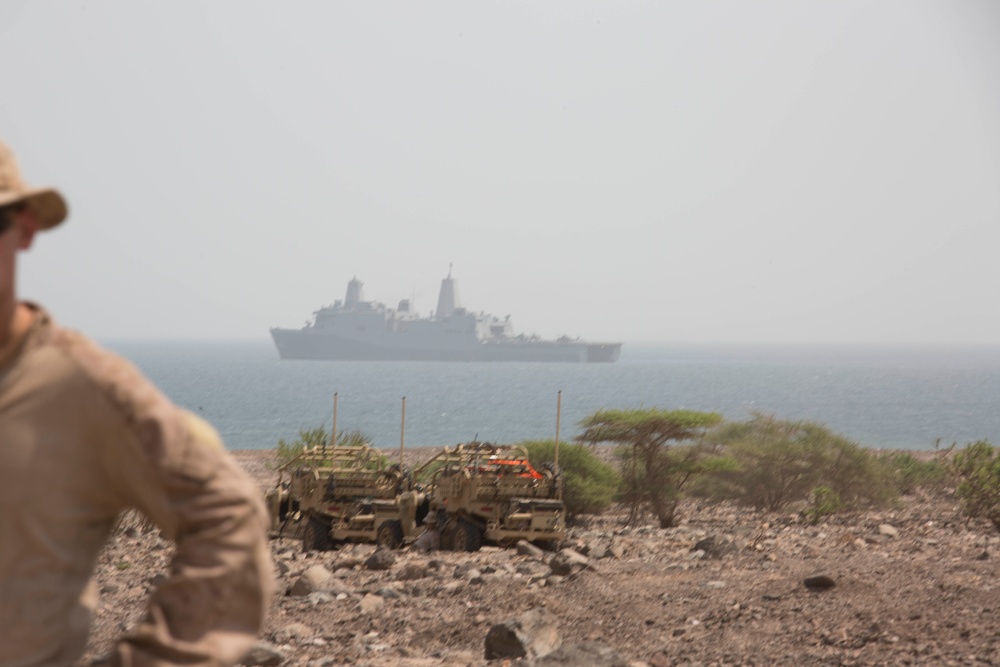 Theater Amphibious Combat Rehearsal