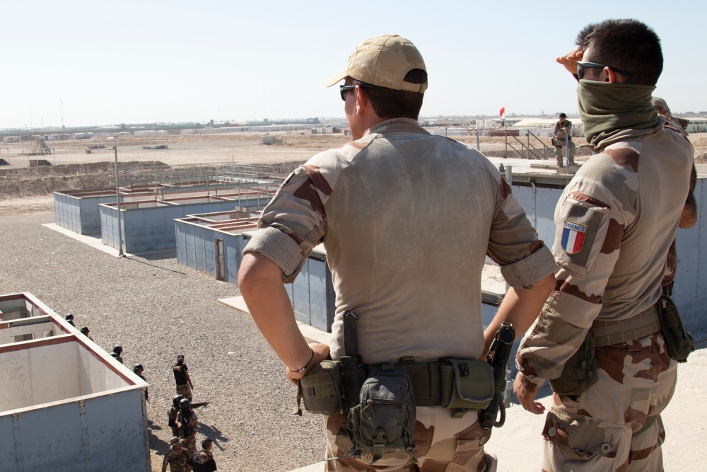 Coalition Forces Train and Assist CTS