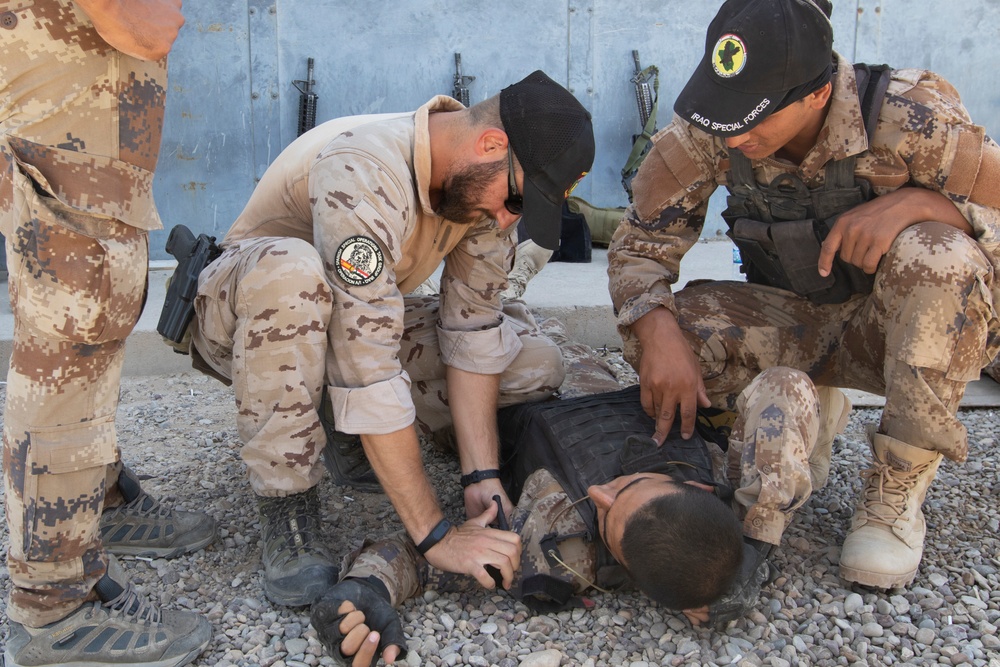 Coalition Forces Train and Assist CTS