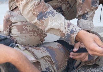 Coalition Forces Train and Assist CTS