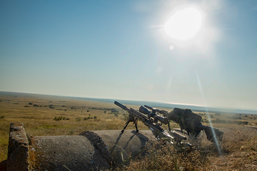 Platinum Eagle: Sniper Range