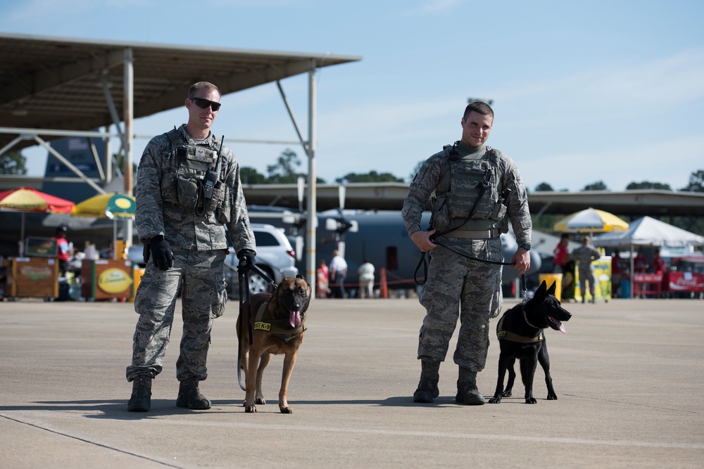 Red Tails Over Montgomery Air Show