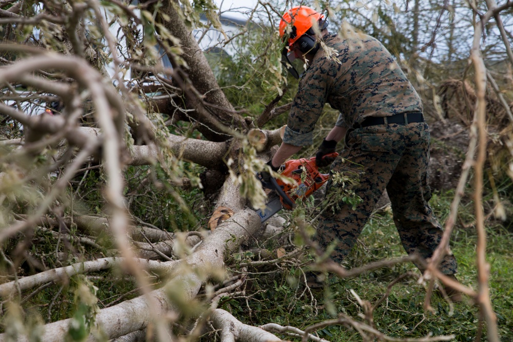 31st MEU Marines assist cleaning debris in Rota after Typhoon Mangkhut