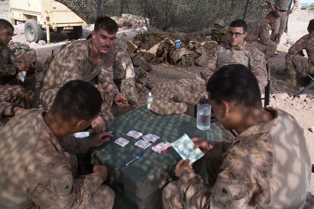 Theater Amphibious Combat Rehearsal