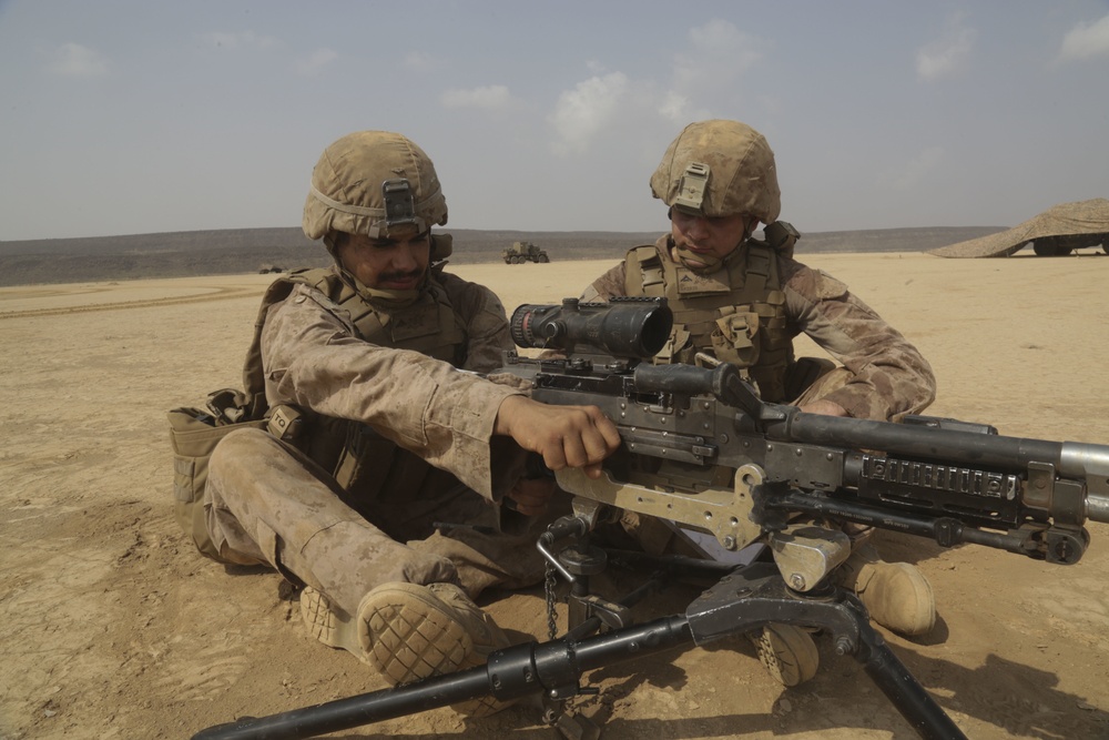 Theater Amphibious Combat Rehearsal