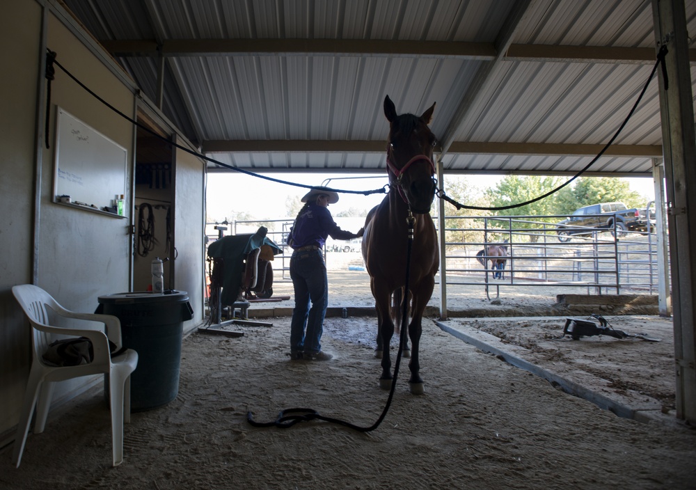Reserve Citizen Airman horse cutting competitor
