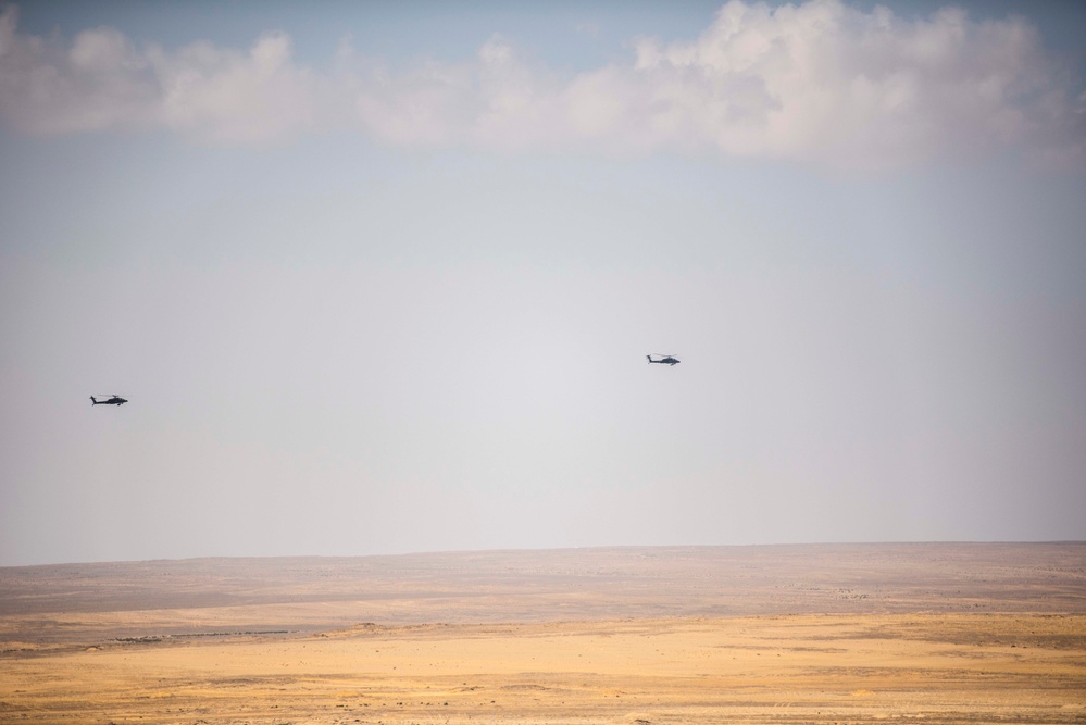 Multinational team of Joint Terminal Attack Controllers directs combined live fire exercise